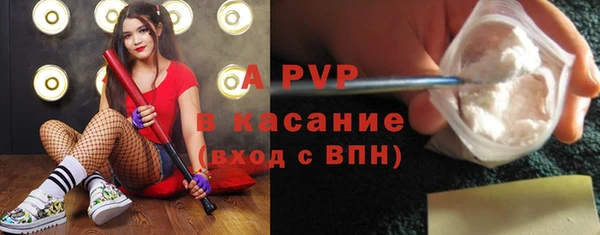 шишки Богданович
