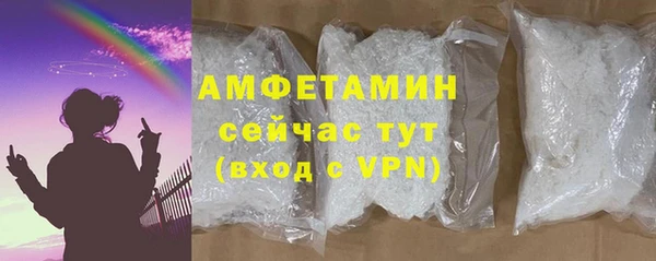 индика Богородск