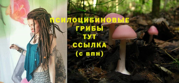 индика Богородск