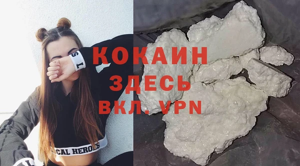индика Богородск