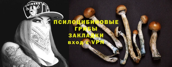 гидропоника Белоозёрский