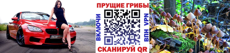 хочу   Воскресенск  Галлюциногенные грибы прущие грибы 